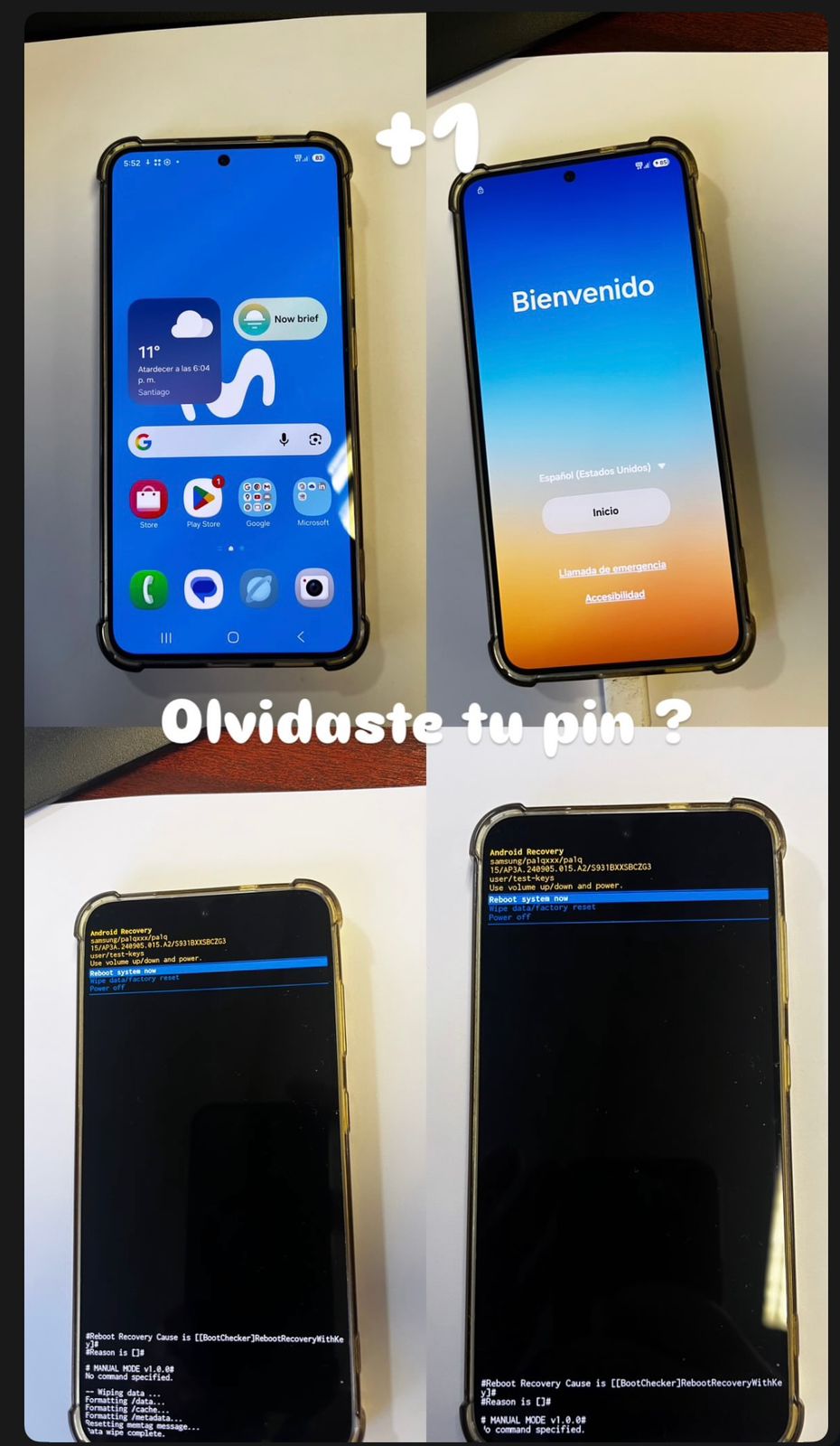 Trabajo técnico realizado por RIPE_05, fotografía 11