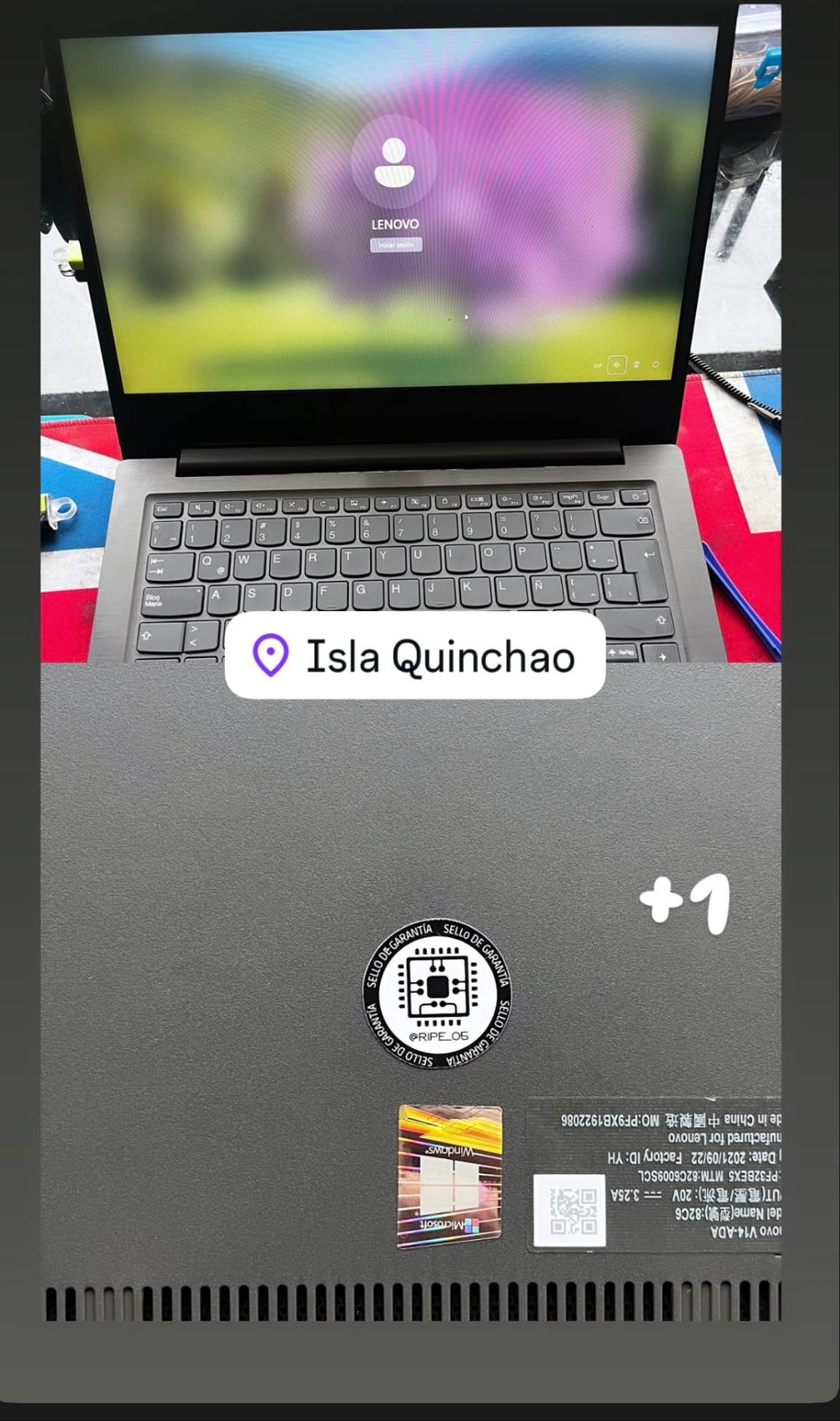 Trabajo técnico realizado por RIPE_05, fotografía 14